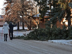 A winter snow squall blew through the city last night that toppled trees with winds over 120km/hr in Edmonton, January 20, 2021.