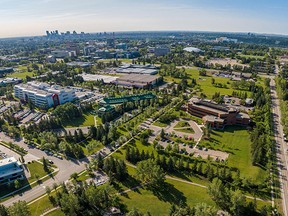 Research conducted at the University of Calgary has resulted in huge scientific breakthroughs and an injection of $16.5 billion into the Calgary economy.  SUPPLIED