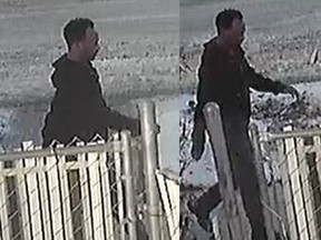 Homicide investigators are looking for tips about the identity of a male seen on 109 Avenue between 106 and 109 Street, between 2:30 and 3:15 p.m. on Tuesday, Dec. 8, 2020.