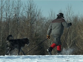 A man's best cross-country ski friend. A dog follow its owner along a trail at Jackie Parker Recreation Area in Edmonton, February 17, 2021.