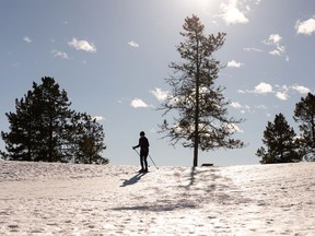 A cross country skier takes in spring like conditions while exercising at Hawrelak Park in Edmonton, on Monday, Feb. 22, 2021.