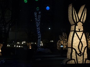 Illuminated rabbit sculptures have begun to take over Beaver Hills House Park, 10440 Jasper Ave., as part of the Downtown Spark: Wâpos installation, in Edmonton Tuesday March 23, 2021. The installation will be on display March 25 to April 3. Photo by David Bloom