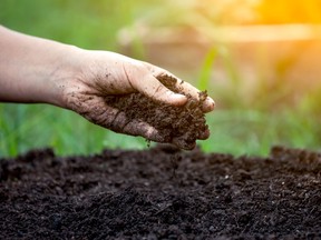 Growing quality vegetables starts with taking care of your soil.