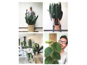 This is Craig Miller-Randle, a designer and plant collector in Melbourne, Australia.