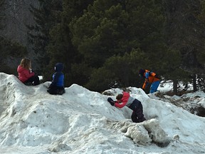 Children having fun climbing the mounds of snow piled high at Hawrelak Park in Edmonton, March 7, 2021. Ed Kaiser/Postmedia