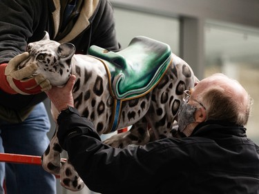 Volunteers collect the Edmonton Valley Zoo’s carousel animals from the Winspear Centre, where they have been on display since 2017, on March 29, 2021. The zoo’s 1959 carousel is being rebuilt.