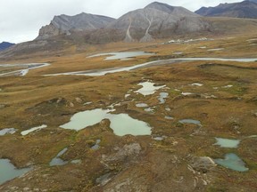 The ground is collapsing as ancient buried glaciers melt near the Toolik Field Station. The loss of the ice releases sediment and nutrients into the newly formed lake and any downstream rivers.