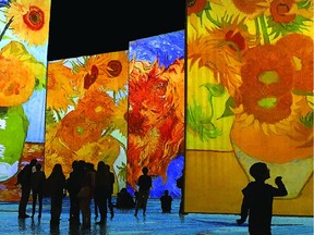 Imagine Van Gogh, an immersive exhibition, is coming to the Edmonton EXPO Centre this March and  eatures more than 200 of the Dutch artist's paintings. supplied image