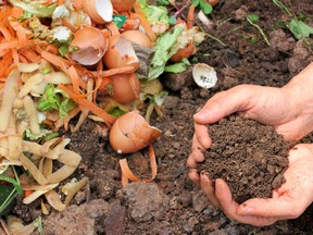 From organic food to composted scraps, heaping these on your garden bed will save your back.
