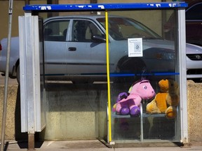 A couple of large stuffed toys sit in a buss stop on 118th Avenue on Friday, April 9, 2021 in Edmonton . Greg Southam-Postmedia