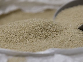 Fertilizer pellets on display in the new nutrient recovery facility at Edmonton's Waste Management Centre. The facility removes phosphorus and other nutrients from wastewater and turns it into fertilizer.