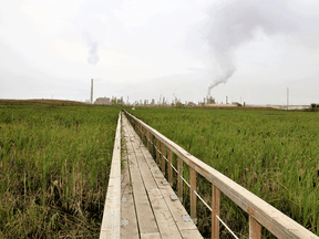 A catwalk cuts through Syncrude Canada’s Sandhill Fen reclamation project, once the site of an open-pit mine.