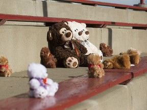 Some of the 215 bears set up in honour of the 215 children found in a mass grave at the Kamloops Residential School, during a memorial event on the Maskwacis First Nation in Alberta, Monday May 31, 2021.
