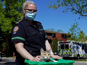 Primary care paramedic Brittany Clark comforts a cat who was rescued from an apartment fire at 10604 110 Ave. in Edmonton on Friday, June 11, 2021.