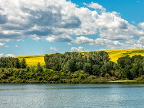 The ample green space and tight-knight community found in Alix, Alta. (pictured) is a big draw to locals and visitors. The recent addition of high-speed internet means the village can now start investing and planning for a bright future beyond COVID-19. NEIL ZELLER PHOTOGRAPHY