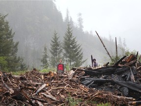 Protesters stand on debris of a cutblock as RCMP officers arrest those manning the Waterfall camp blockade against old growth timber logging in the Fairy Creek area of Vancouver Island, near Port Renfrew, British Columbia, Canada May 24, 2021.