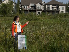 Landscape technician Catherine Falk gives a tour of a naturalized stormwater management facility in Edmonton's Doug Kelly Park, 208 Street and 57 Avenue, Wednesday July 28, 2021.