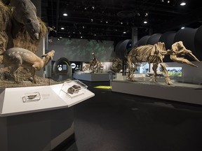 Royal Tyrrell Museum