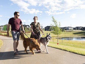 Kevyn Serediak and Myane Lachance walk Lily and Jack in their new neighbourhood of Woodhaven in Edgemont.