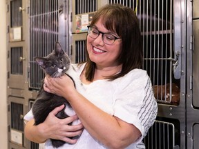 Liza Sunley, CEO of the Edmonton Humane Society, is seen with Carl Jr., one of the cats up for adoption in Edmonton on Thursday, Aug. 12, 2021. The Edmonton Humane Society and Tails of Help are launching a new pilot project to help one family per month receive essential veterinary care for their pet due to unexpected, one-time incidents so that they can keep their pet in their home.