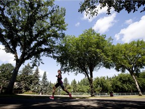 Taylor Knibb leads the run portion of the Elite Women's race at the 2021 World Triathlon Championship Finals, in Edmonton Saturday Aug. 21, 2021. Photo by David Bloom