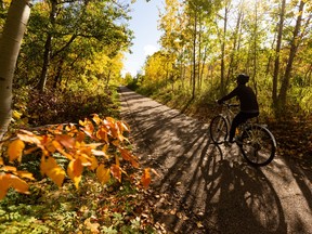A cyclist rides through a tunnel of fall foiliage near Wayne Gretzky Drive on the first day of fall in the Capilano neighbourhood of Edmonton, on Wednesday, Sept. 22, 2021. Photo by Ian Kucerak