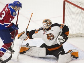 Edmonton Oil Kings' Caleb Reimer can't get the puck from Medicine Hat Tigers goalie Garin Bjorklund on April 22, 2021, in Edmonton.