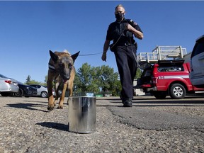 Edmonton Fire Rescue Services' (EFRS) ignitable liquids detection K9 Marshal gives a demonstration of his detection skills with Captain Fire Investigator Ian Smith at the EFRS Training Academy, 10420 157 St., in Edmonton Friday Sept. 3, 2021. Photo by David Bloom