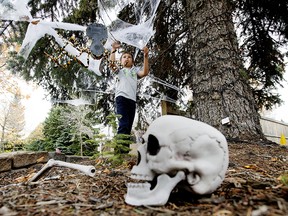 Nikolai Caldararu, 8, strings cobwebs in a tree as he helps his parents put up Halloween decorations in their St. Albert front yard, Thursday Sept. 30, 2021. Photo by David Bloom