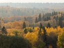 Foggy air settles in the river valley as seen from Constable Ezio Faraone Park in Edmonton on Wednesday, October 6, 2021. 