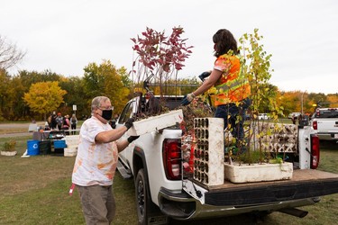 Mark Otto (left) and Erin Ritchie with the City of Edmonton deliver plants during the Roots for Trees Plant Giveaway at Hawrelak Park in Edmonton, on Thursday, Sept. 30, 2021. Edmontonians were invited to pick up a plant, speak with an Elder and plant their tree or plant as an act of reconciliation on National Day of Truth and Reconciliation.