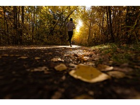 A runner exercises along a pathway covered in fallen leaves as the sun rises in Millcreek Ravine in Edmonton, on Friday, Oct. 1, 2021. Photo by Ian Kucerak