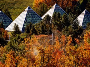 The Muttart Conservatory glistens in the sunlight as it sits nestled among the autumn leaves in Edmonton's river valley on October 4, 2021. (PHOTO BY LARRY WONG/POSTMEDIA)