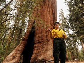 A supervisor with the U.S. Forest Service speaks during a tour of the Trail of 100 Giants, also known as Long Meadow Grove, in the Sequoia National Forest, Calif., U.S.