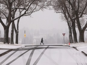 A walker takes in a wintry landscape along Ada Boulevard during the first big snowstorm of the season in Edmonton, on Monday, Nov. 15, 2021. Photo by Ian Kucerak