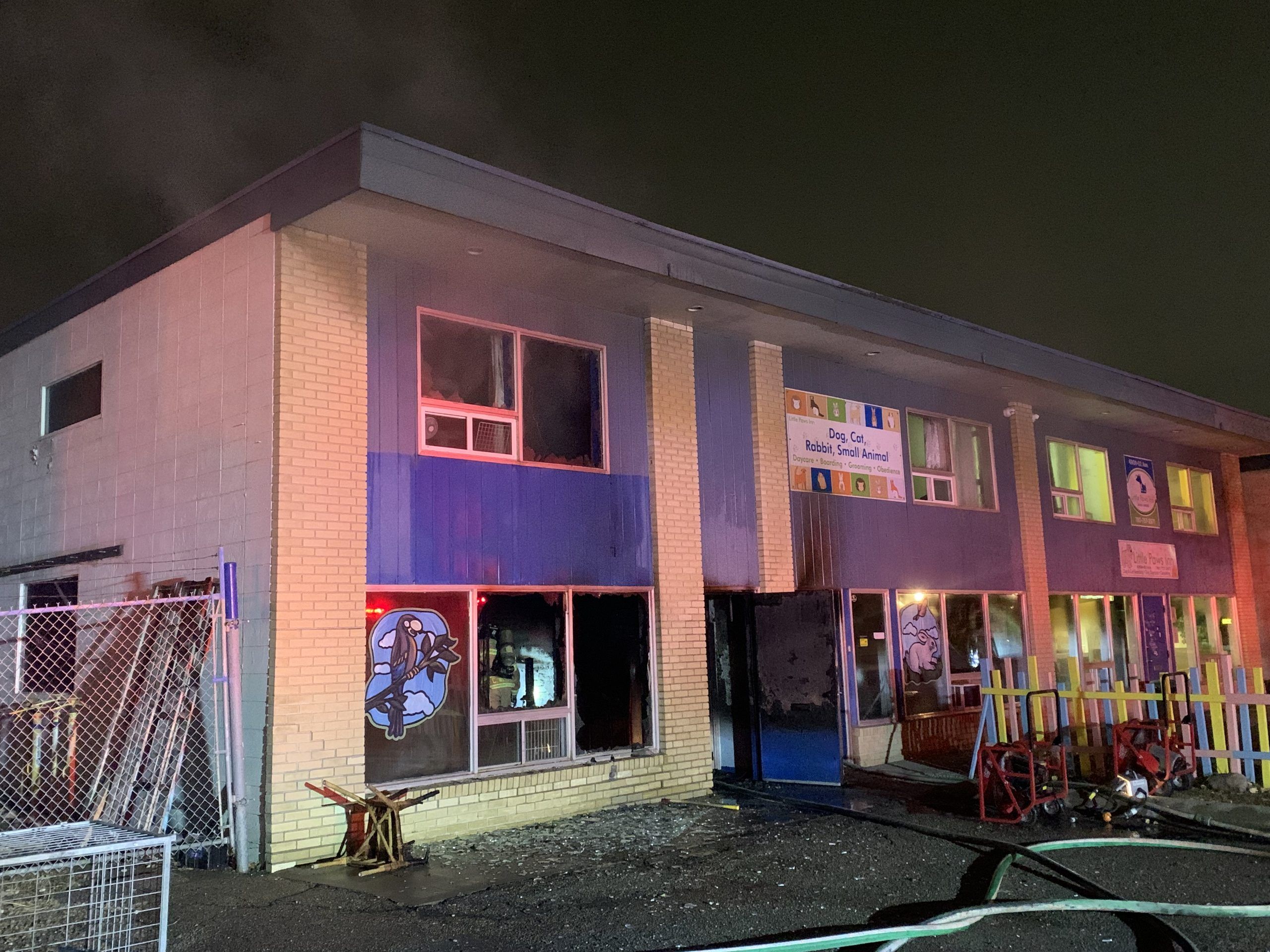 Two Cats One Rabbit Dead After Fire At Animal Grooming Shop EFRS   IMG 4386 Scaled 