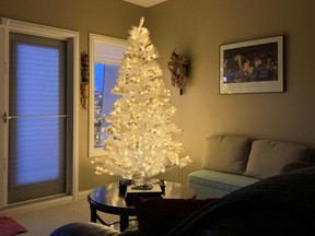 A glowing Christmas tree in the corner of the room. Image supplied.