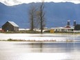 Flooding near Highway 1 between Abbotsford and Chilliwack on Nov. 26.