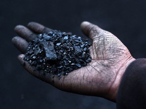 Commodity markets show coal remains very much in demand.