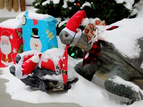 A trio of tortoise statues in Christmas attire are visible outside the Leduc Operations Building, 4300 56 Ave., in Leduc Tuesday Dec. 21, 2021. Photo by David Bloom