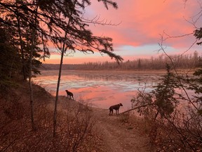 Sunrise over the North Saskatchewan river on November 4, 2021.