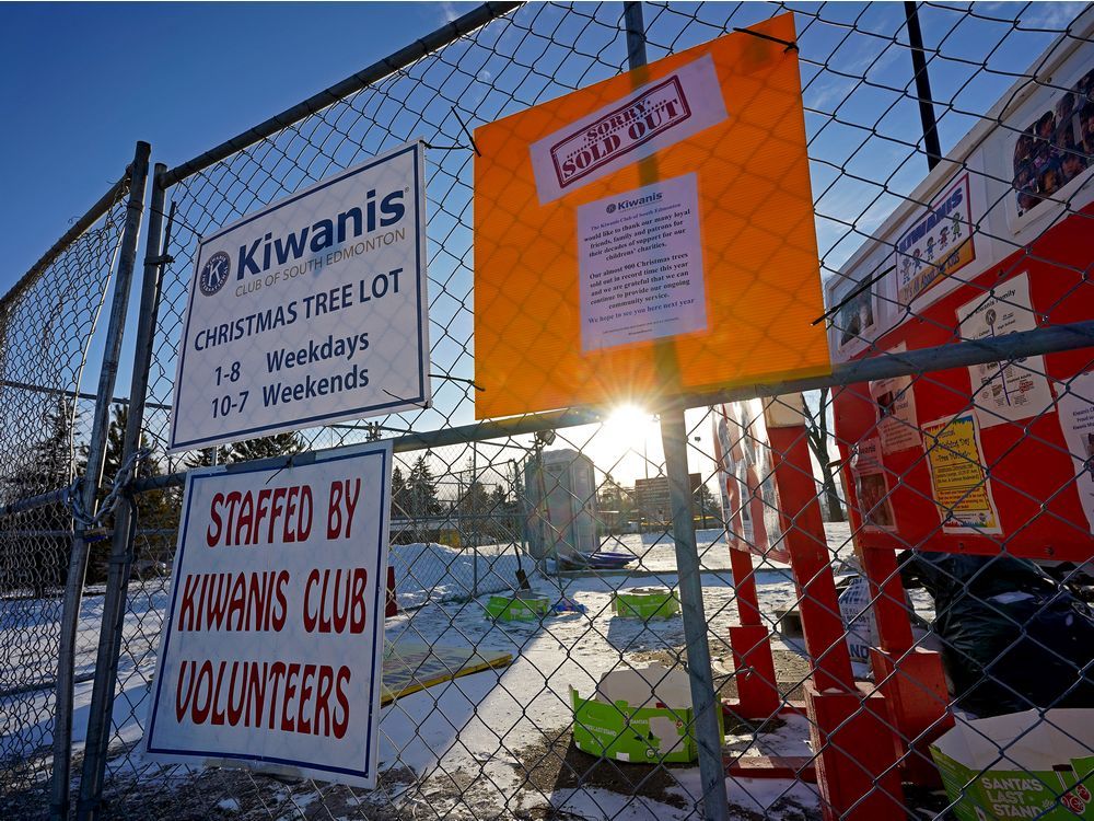 Christmas trees sell out 'in record time' as some Edmonton vendors deal