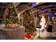 The Festival of Trees raises funds for the University Hospital Foundation.