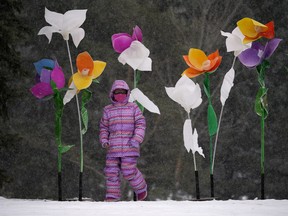 Mia Parcon-Pastor (8-years-old) tip-toes through the tulips at an art installation in Edmonton's Hawrelak Park during the COVID-19 pandemic on February 19, 2021. (PHOTO BY LARRY WONG/POSTMEDIA)