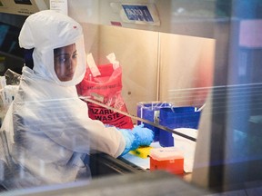 A technician wearing a full body protection suit works inside a fume cabinet in a biosafety level 3 COVID-19 research laboratory at the African Health Research Institute in Durban, South Africa, on Wednesday.