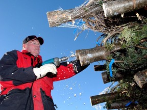 Water must be present to prevent cut tree trunks from sealing over.