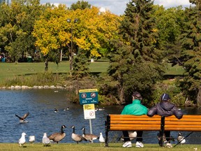 Unruly Canada geese stop over at Hawrelak Park as they continue their southern fall migration in Edmonton, on Wednesday, Sept. 15, 2021.