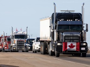 Pickup trucks are seen driving on Highway 16A en route to the Alberta Legislature in support of the National Freedom Convoy, Saturday, January 29, 2022.