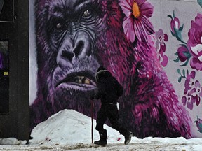 Not more snow! The snow starts to fall in the late afternoon as a man walks past a mural of a gorilla in south Edmonton, January 21, 2022.