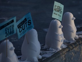 Penguins, made of snow, were set up outside the MacEwan University Student's Association as part of a protest against provincial cuts to post-secondary education, in Edmonton Monday Feb. 8, 2021.